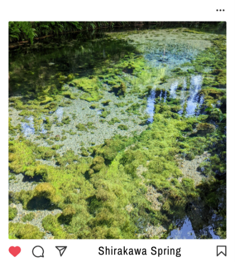 Shirakawa Spring